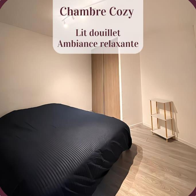 Appartement 2 Pieces Rdc En Duplex Vue Cour Parking Gratuit A 20Metres Roanne Esterno foto