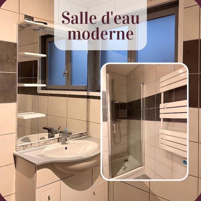 Appartement 2 Pieces Rdc En Duplex Vue Cour Parking Gratuit A 20Metres Roanne Esterno foto
